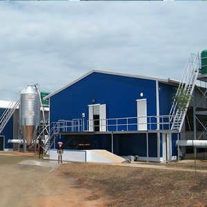 Poulailler à cadre en acier de style ferme pour l'élevage de poulets de chair à la ferme - Product Image 3