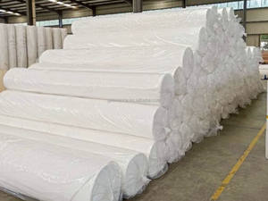 <span class=keywords><strong>Géotextile</strong></span> non tissé 110g <span class=keywords><strong>300g</strong></span> 450g 100g 800g-g G/<span class=keywords><strong>m2</strong></span> <span class=keywords><strong>Prix</strong></span> du tissu <span class=keywords><strong>géotextile</strong></span> non tissé - Product Image 5