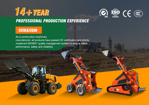 Высококачественный дизельный колесный погрузчик для сахарного тростника грузоподъемностью <span class=keywords><strong>3</strong></span> тонны с двигателем и редуктором, гарантия 1 год и высокая эффективность - Product Image 6