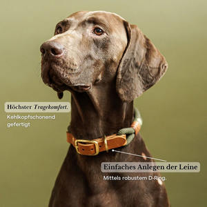 Tali kulit nilon Breakaway polos, Set kerah dan tali anjing kulit rantai p kustom hijau zaitun untuk anjing - Product Image 4