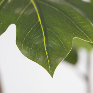 190cm Plantes Artificielles Faux <span class=keywords><strong>Arbre</strong></span> <span class=keywords><strong>À</strong></span> <span class=keywords><strong>Pain</strong></span> <span class=keywords><strong>Arbre</strong></span> Décoratif pour Intérieur Bureau Salon - Product Image 4
