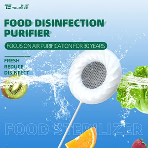 Purificateur alimentaire portable nettoyant pour fruits et légumes pour nettoyer la viande de riz fruits et légumes