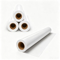 Film de transfert DTF G-Printing double mat 60 cm en rouleau pour sublimation, alimentation stable, pour la production de vêtements A3