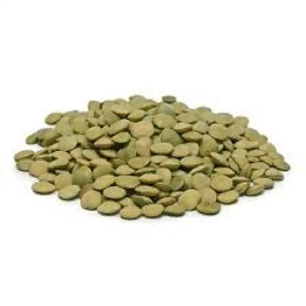 Premium Quality Vietnam Green Lentils Organic Dried Seed