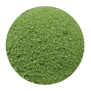 Bulk Drum Packagedfood grade Moringa Leaf Powder 5:1 Solvent Extracted Herbal Extract for Health Food Applications