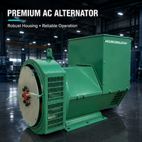 Alternateur synchrone sans balais 300 kVA 50 Hz 60 Hz avec régulateur de tension automatique