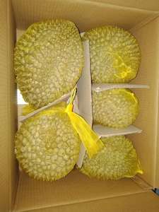 Producto agrícola Premium Durian entero congelado - Product Image 5