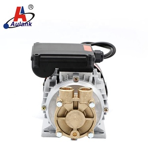 Series Hot Oil Transfer Pump - Product Image 6