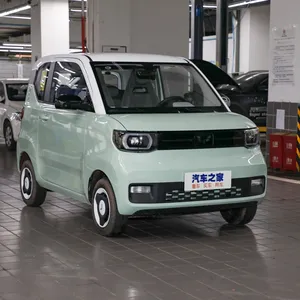 通用五菱宏光米尼耶夫中国电动车自由风格2023