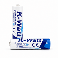 Piles alcalines AA LR6, blister de 4 piles primaires AA 1,5V, piles alcalines