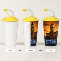 Top Vente Personnalisable En Plastique Drinkware avec Paille Conception Personnalisée Tasse pour Boissons