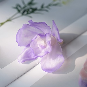 Venta al por mayor <span class=keywords><strong>de</strong></span> flores preservadas <span class=keywords><strong>de</strong></span> larga vida eterna Flor <span class=keywords><strong>de</strong></span> Orquídea real para la decoración <span class=keywords><strong>de</strong></span> la fiesta en casa <span class=keywords><strong>de</strong></span> la boda - Product Image 3