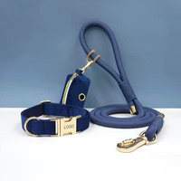 Ensemble de laisse rétractable pour chien personnalisée de luxe avec logo gravé au laser et sac à collier en velours (140 cm ou sur mesure)