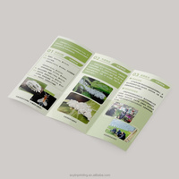 Conception personnalisée et impression de dépliants pliés, impression de petites brochures, brochure de profil d'entreprise pliée en 3/4