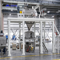 Su larga scala 3000L polvere di miscelazione detersivo/detersivo in polvere linea di produzione di polvere secca