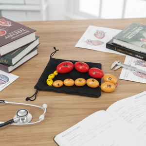 Orquidómetro de Prader para Medición del Volumen Testicular Masculino - Dispositivo de Educación Médica para la Enseñanza de <span class=keywords><strong>Urología</strong></span> - Product Image 4