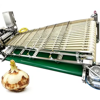 XINCHUAN XC-serie Volledig Automatische Multifunctionele Commerciële Fruit & Groente Knoflook Lychee Formaat Sorteer- en Calibratiemachine