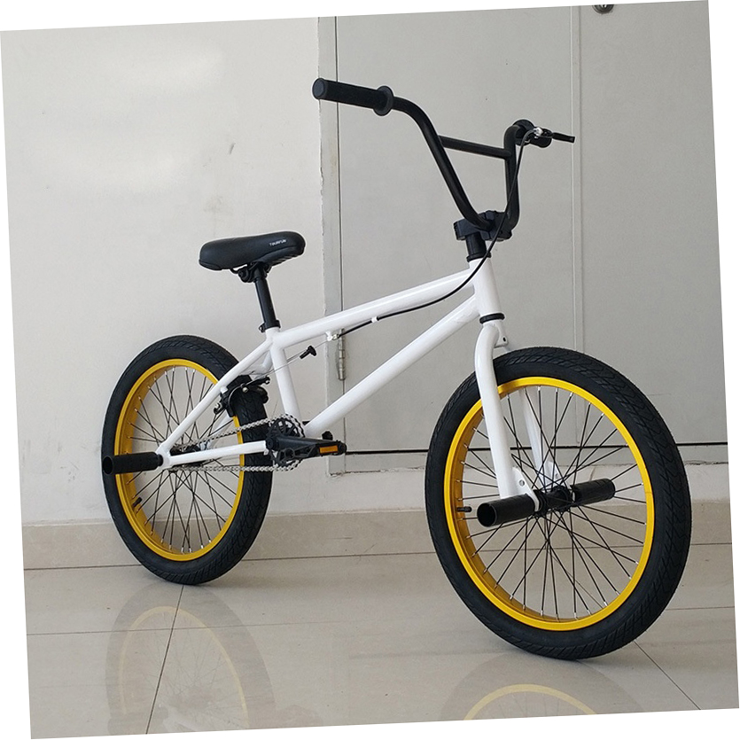 ニュースタイル アロイリム 20インチ スティールフレーム ミニBMXバイク