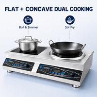 Cuisinière à induction professionnelle à double brûleur 220V 10kW, plaque de cuisson plate et concave pour restaurant