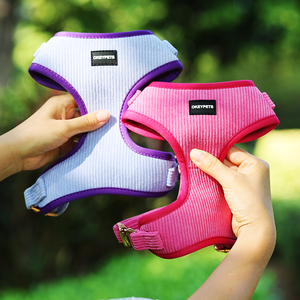 Accesorios para Cachorros, Arnés de Perro de Terciopelo de Pana Rojo Ajustable con Logotipo de PVC Personalizado con Correas y Collares para Mascotas - Product Image 3