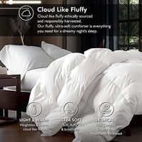 Couette de luxe 100 % coton taille Queen, 48 oz de garnissage, design à compartiments, blanche unie, en plumes d'oie et de canard, pour la maison