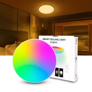 intelligente Steuerung Deckenleuchte-Hochmontage zuhause dekorativ Tuya App RGB LED Deckenpaneel-Licht