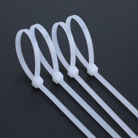 Fournisseur chinois YDSL, échantillon gratuit, attaches en nylon 66, attaches de câbles robustes, 4,8*550 mm