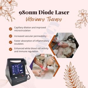 เครื่องเลเซอร์บำบัดสำหรับม้า 980 นาโนเมตร 15 วัตต์ ไดโอดเลเซอร์สำหรับอาการบาดเจ็บที่เอ็นม้า บรรเทาอาการปวดข้อ อุปกรณ์ฟื้นฟูสุขภาพสำหรับสัตว์ - Product Image 2