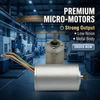 Moteur CC sans balais sans noyau 2845, puissant, à aimant permanent micro à cuve creuse, longue durée de vie pour robots et équipements miniers