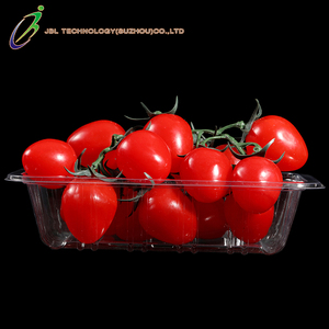 Bandeja Desechable de Plástico PET para Envasado de Frutas y Verduras, Bandeja Transparente para Envasado de Alimentos, Bandeja de Plástico Negra para Exhibición - Product Image 4