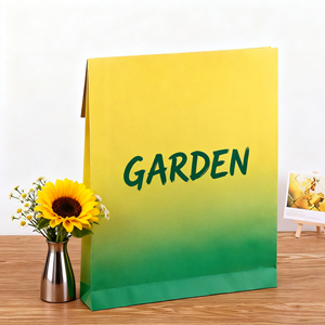 <strong>Envelope</strong> Gift Paper Bag Kraft Paper File Clothing Packaging Bag T-shirt Express Printing logo <strong>Envelope</strong> Bags Packaging - Product Image 3