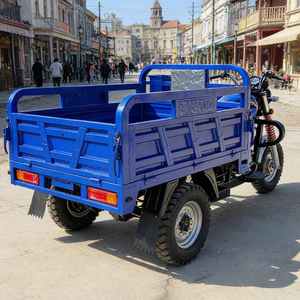Tricycle motorisé à carrosserie ouverte, essence, pour marchandises et passagers, avec moteur >250cc, <span class=keywords><strong>3</strong></span> places, faible coût d'exploitation, <span class=keywords><strong>prix</strong></span> usine - Product Image 6