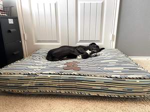 Funda para cama para mascotas, funda de asiento para perros, duradera, transpirable, sostenible, lavable a máquina - Product Image 4