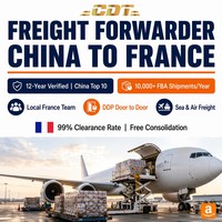Agent d'expédition maritime FBA de Chine vers l'Italie pour le fret commercial LCL avec dédouanement DDP et livraison porte-à-porte