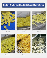 Sensitar Automatische Diepvriesfriet Productielijn Hoge Productiviteit Frituur- & Aardappelstokjesmachine