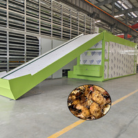 Hoogwaardige Kruiden Mesh Belt Droogmachine Sealwort Mesh Belt Droogmachine Huangjing Droogmachine