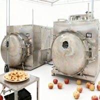 Machine de lyophilisation industrielle automatique à tunnel pour la transformation alimentaire avec fonctionnement continu et en acier inoxydable SUS304