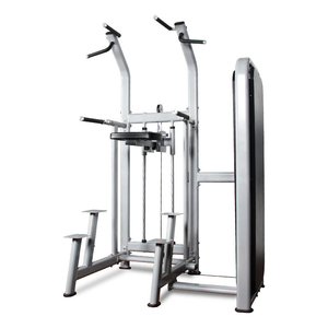 Barra Monocromática Asistida para Ejercicios de Dips y Pull-ups en Club de Fitness, para Entrenamiento de la Parte Superior del Cuerpo - Product Image 1