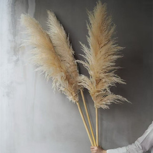 Wholesale Boho Wedding Decor Large Plume Dry Pampas Natural Real Preserved Feather <strong>Dried</strong> Pampas Artificial <strong>Plants</strong> - Product Image 5