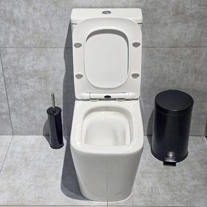 <span class=keywords><strong>WC</strong></span> mural en céramique vitreuse, couleur ivoire mat, à double chasse, sans bride, à jet tornade, deux pièces, avec bidet intégré. - Product Image 6