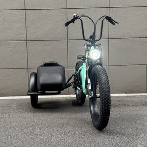 Idecar-idecar en edelec, 250W, 500W - Product Image 2