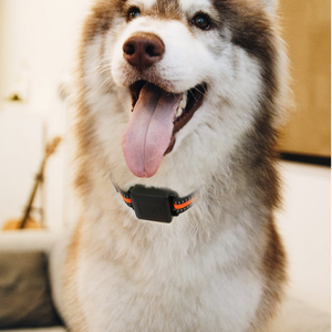 Rastreador GPS para adultos, botón de pánico IP67, red 4G, posicionamiento GSM, <span class=keywords><strong>Chip</strong></span> para personas mayores, etiquetas de seguimiento para niños, pulsera para Vista de PC para personas mayores - Product Image 2