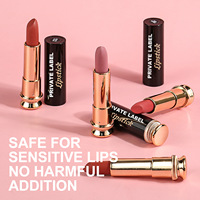 Rouge à lèvres satiné avec logo personnalisé, faible MOQ 50 pièces pour démarrer votre marque de cosmétiques à label privé virale sur TikTok, maquillage haute pigmentation
