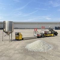 Ligne de granulation automatique PP PE, machine de recyclage plastique, machine de fabrication de granulés de plastique, machine de granulation de déchets plastiques
