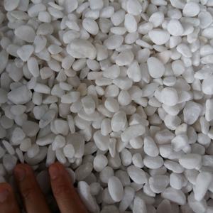 Pierres de roche blanche neige, de haute qualité, 5 pièces, pour paver le paysage, décoration de jardin à domicile - Product Image 1