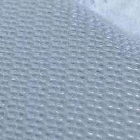 Coussin absorbant pour animaux de compagnie, surface en maille, échantillon gratuit, OEM, pour chat et chien