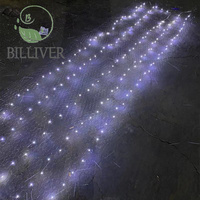 Guirlande lumineuse de ciel étoilé pour mariage, lumières de filet de pêche pleines d'étoiles, lumières décoratives de scène, lumières de plafond, guirlande lumineuse en fil de cuivre