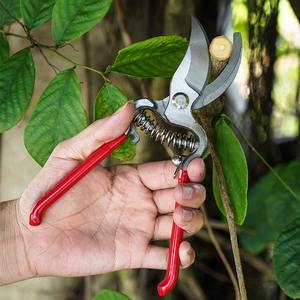 <span class=keywords><strong>Sécateur</strong></span> multifonctionnel personnalisé d'outil de coupe de ménage <span class=keywords><strong>sans</strong></span> <span class=keywords><strong>effort</strong></span> de haies de façonnage d'acier au manganèse - Product Image 5