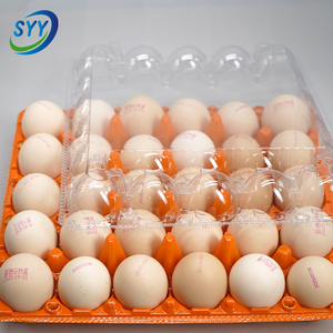 Bandeja <span class=keywords><strong>para</strong></span> Huevos de PET de Colores al por Mayor, Tipo Concha, con Tapa Desmontable, Grado Alimenticio, Antivaho, Antiestática, Apilable, RPET, OEM, Personalizada - Product Image 3
