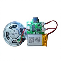 Module sonore MP3 USB rechargeable 8 Mo, enregistrable, avec bouton-poussoir, pour boîte cadeau DIY, module vocal musical, cadeau promotionnel